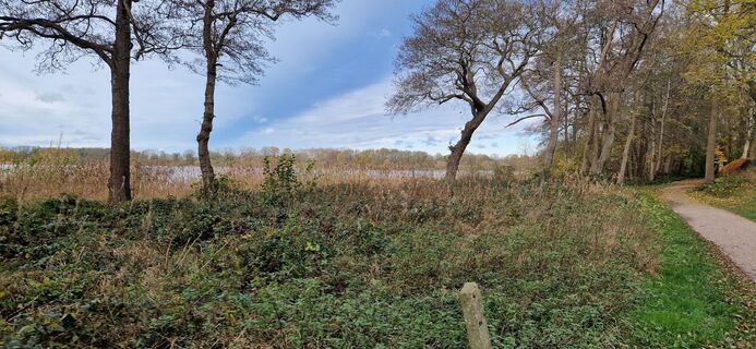 Foto de Bernd Schmitt a lo largo del recorrido