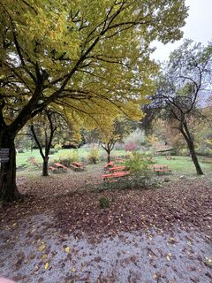 Foto da Günter Ritzer lungo il tour