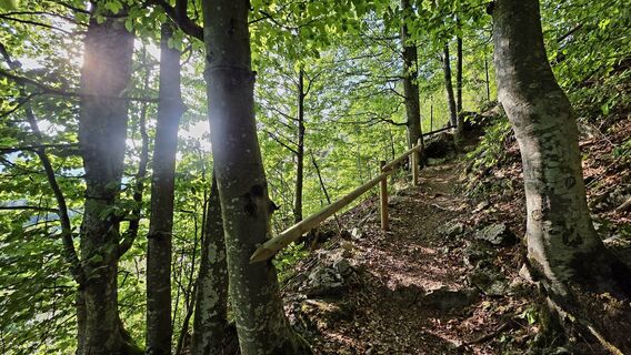 Photo de Danijel Sorola le long du parcours