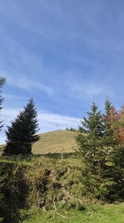 Foto von Alex Wanka entlang der Tour