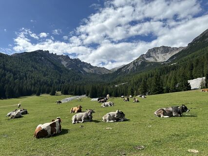 Foto von SuperBasti entlang der Tour