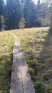 Photo de Reinhart Adam le long du parcours