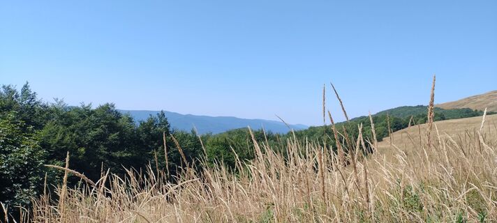 Fotografija s spletne strani Sylwiasuchy76 na poti