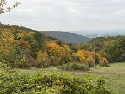 Foto von Guntram Hepperle entlang der Tour