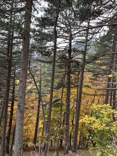 Foto von Valkai Gergely 1 entlang der Tour