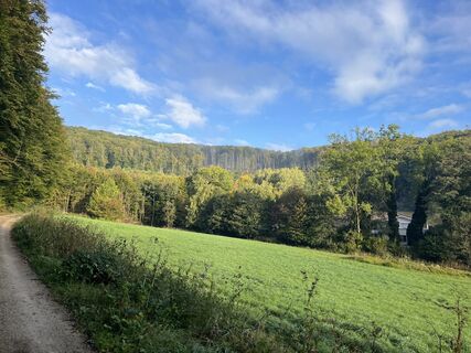 Photo de Roman Embacher le long du parcours