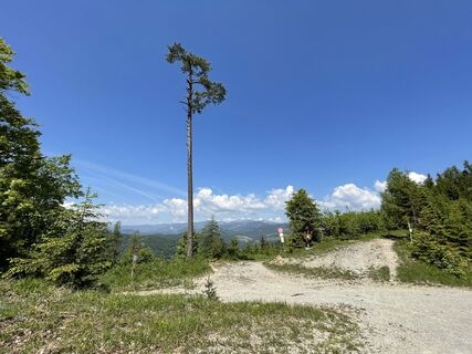 Fotografia z Florian Geiling na trase