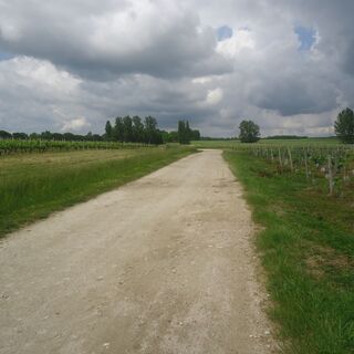 DSC02174
