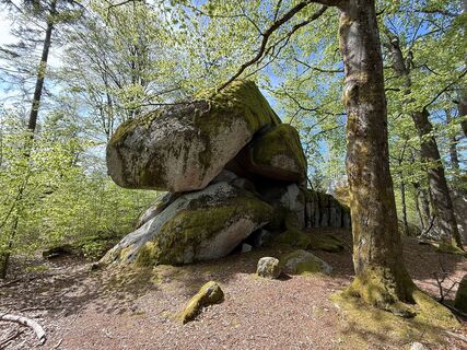 Foto von Norbert Herbig entlang der Tour
