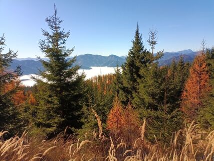 Photo de Harald Bäck le long du parcours