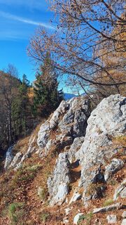 Fotografija s spletne strani Regina Fleischmann na poti