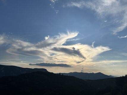 Fotografia z Stefan Plank na trase