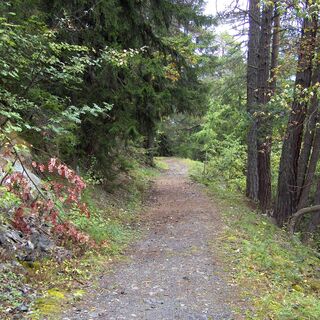 Wanderweg entlang der Suone, oder auch Bisse genannt (historischer Bewässerungskanal)