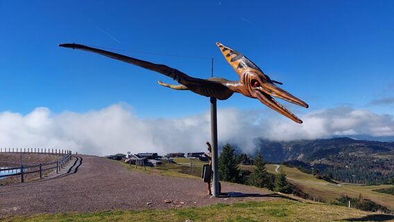 Photo de Thomas Berensmann le long du parcours