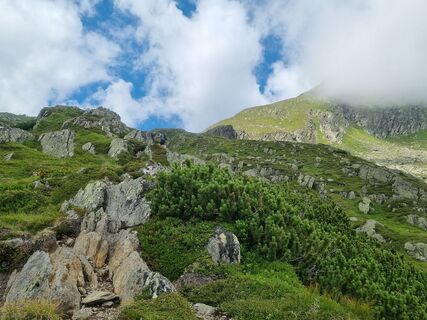 Foto von Ilse Kubr entlang der Tour