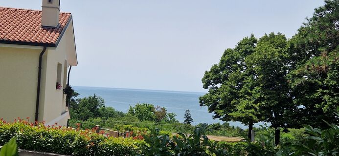 Foto von Utassy Tóth Johanna entlang der Tour