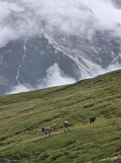 Foto von Veljko4 entlang der Tour