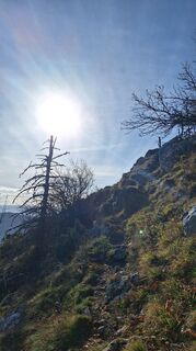 Фото с сайта Regina Fleischmann во время экскурсии