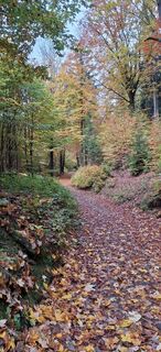 Photo from Jörg Rost along the tour