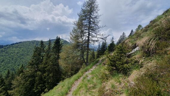 Fotografie z Anica varga na trase