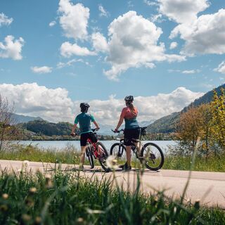 Radweg am Großen Alpsee