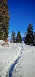 Foto von ReginaSt entlang der Tour