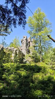 Foto da damilaja242 lungo il tour