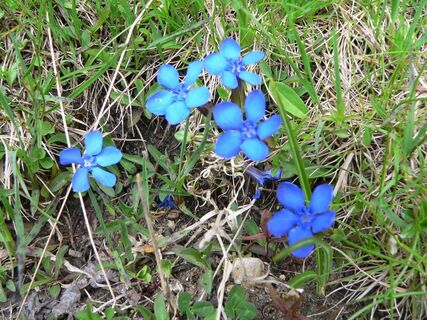 Wanderung vom Lachtal zur Klosterneuburgerhütte