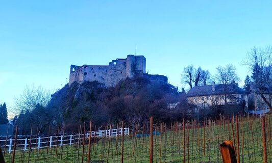 Foto von Claudia Kanalz entlang der Tour