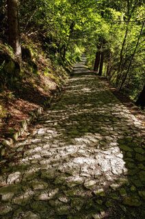 Straße Richtung Deggia