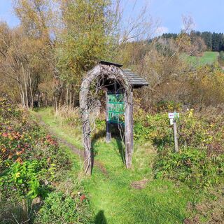 Fotografia z SiMy Samitz na trase