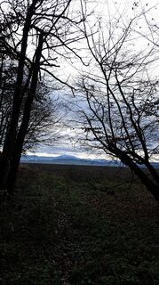 Photo de Anita Lunzer 1 le long du parcours