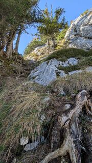 Fotografie de la Richard K. de-a lungul turului