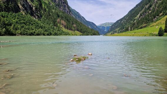 Fotografia z Gerrit van der Linde na trase