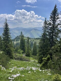 Foto från Andreas Felber under resans gång