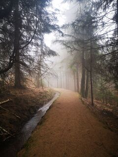 Foto von Denis Trapp 1 entlang der Tour