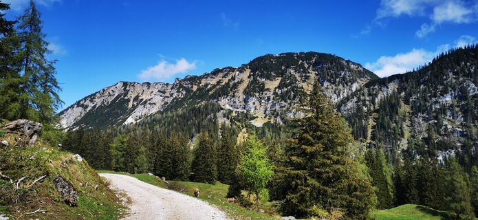 Fotografie de la Klaus Lehner de-a lungul turului