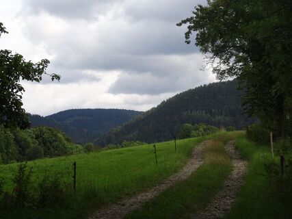 Karst-Wasser-Weg mit blick zum Schiefergebirge