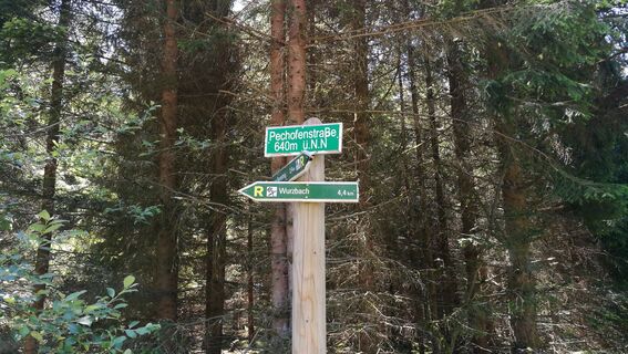 Rund um den Vogelberg bei Wurzbach