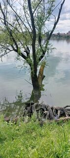 Foto von Mauro Geroldi (Gerry) entlang der Tour