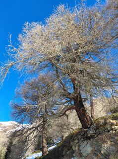 Foto de Sabine Steuxner a lo largo del recorrido