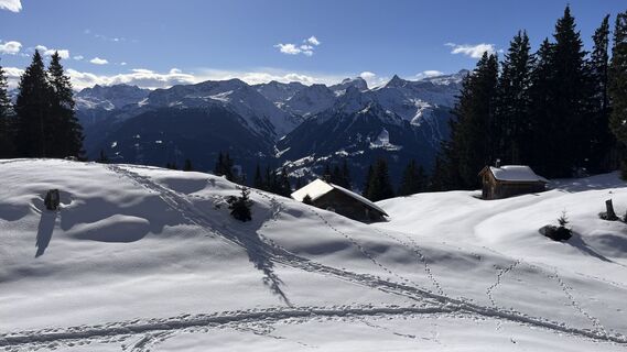 Fotografia z Erich Graf 2 na trase