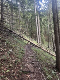 Fotografia z furkan_oezdmr na trase