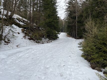 Foto von Amiks entlang der Tour