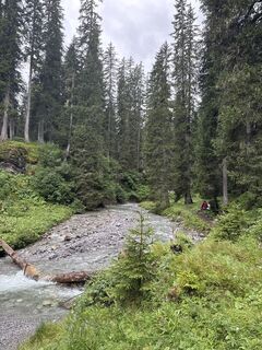 Foto von Grizzli entlang der Tour