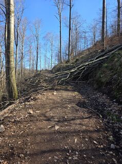 Foto von N. Hesse entlang der Tour