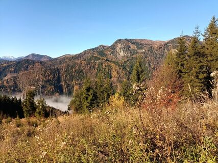 Photo de Harald Bäck le long du parcours