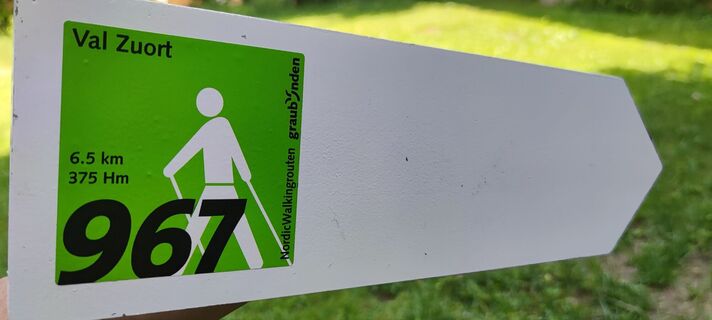 Wegweiser Nordic Walking Route Nr. 967