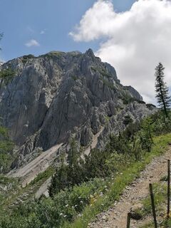 Fotografia z Dagmar Hofer na trase