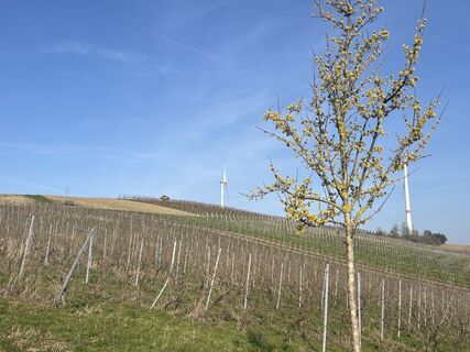 Foto von Wilfried Wagner entlang der Tour